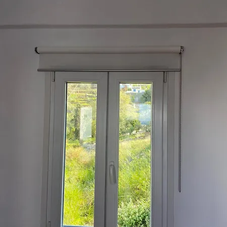 Foivos *